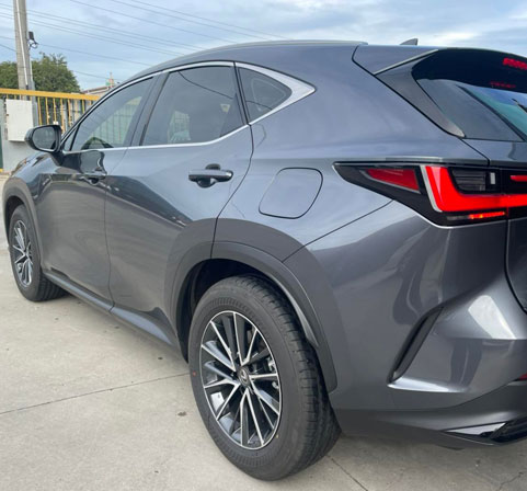 car-tint-pg-2
